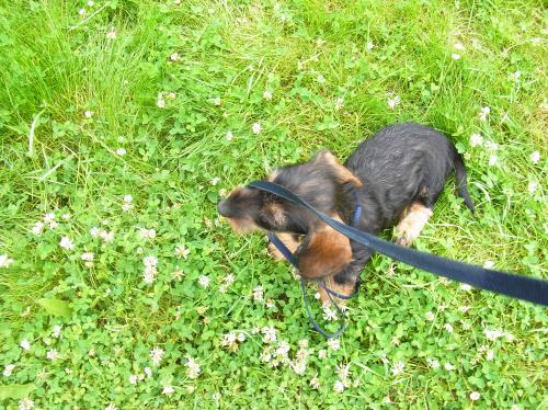 Image0003
