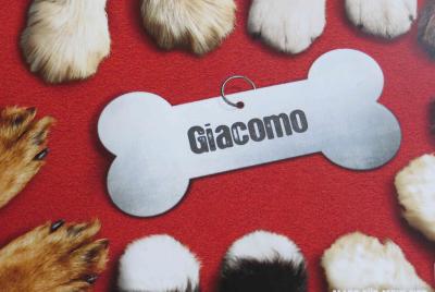 giacomo schild