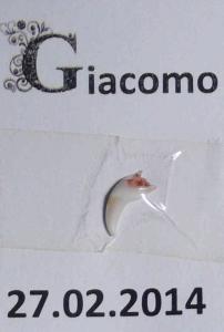 Giacomos Geschenk